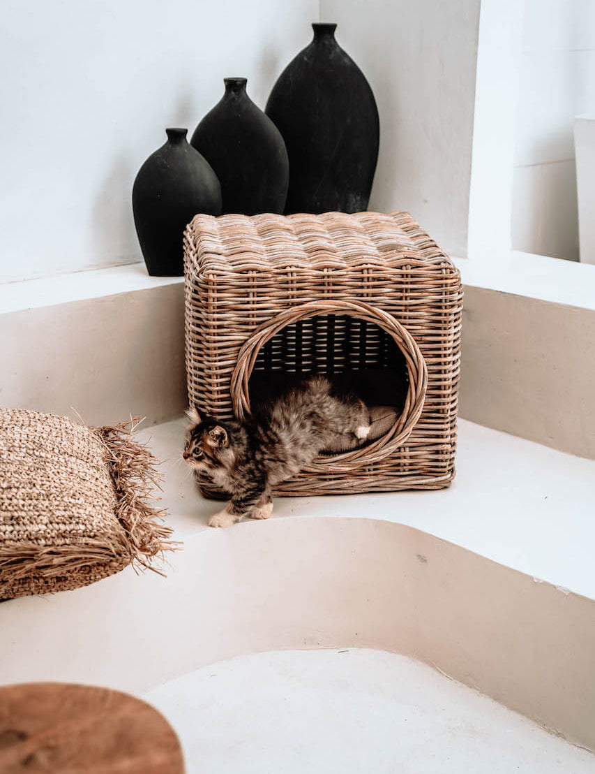 e60670a3f067b23f3fafbb0be215e11e