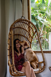 Durable handmade natural rattan hanging swing chair single, designed for relaxing indoor or outdoor comfort.