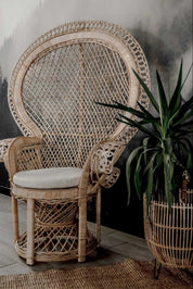 Peacock rattan chair with high back and cream cushion, handcrafted from natural rattan, perfect oversized boho accent for indoor or covered outdoor spaces