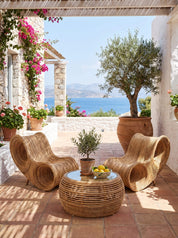 Designer rattan relax chair with modern lines