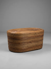 Rattan coffee table with organic curved silhouette
Natural rattan coffee table in coastal style interior