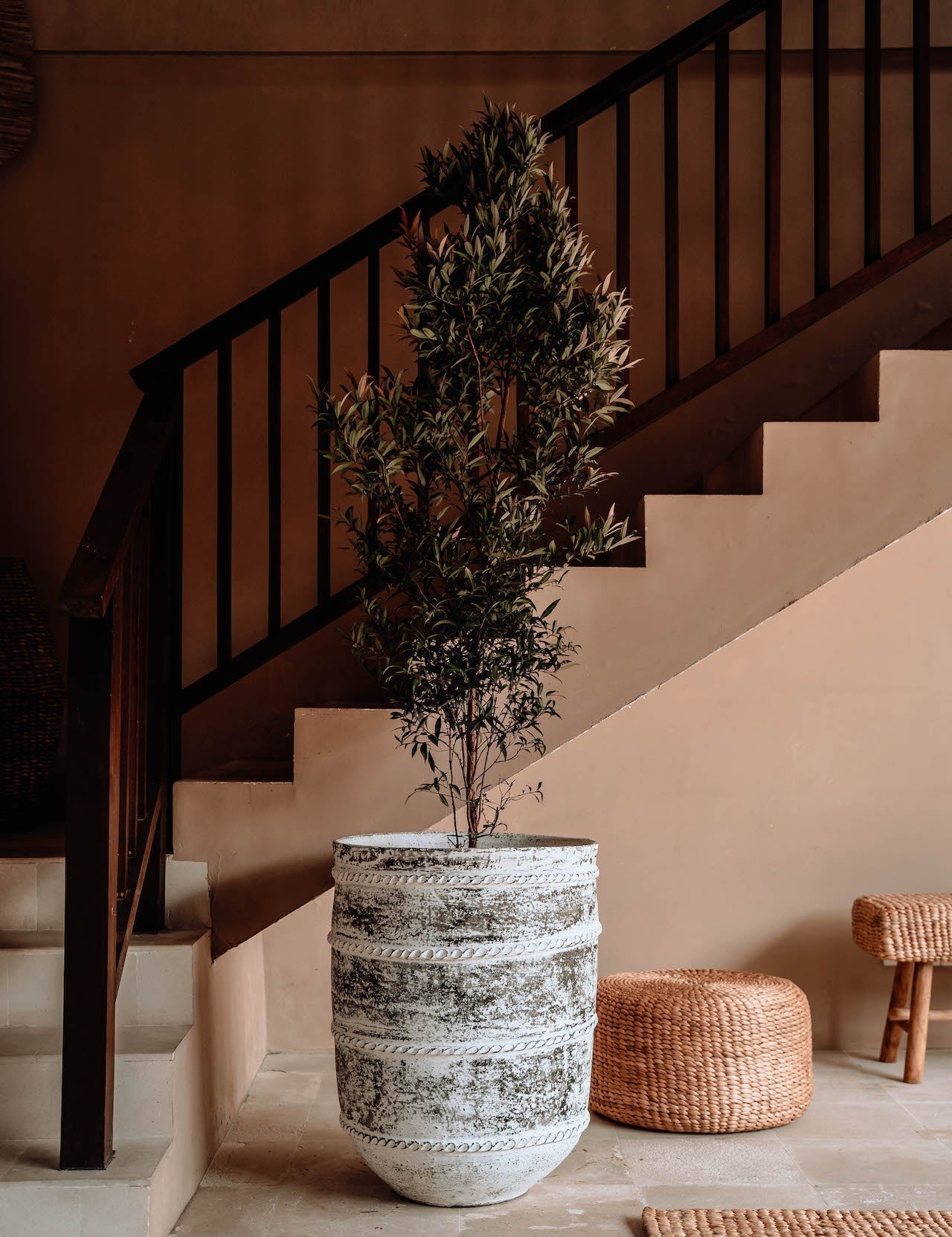Decorative plant in a textured pot on a staircase with a wicker stool and rug.