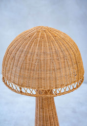 rattan lamp for living room natural lighting
